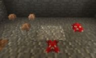 Mushrooms (Image via Minecraft)